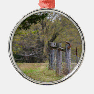 Eichhörnchenzäune Pose Ornament Aus Metall