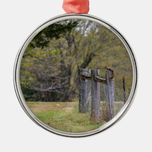 Eichhörnchenzäune Pose Ornament Aus Metall (Vorne)