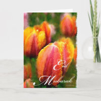Eid Mubarak-Tulips