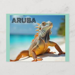 Eidechse genießt den Strand in Aruba Feiertagspostkarte