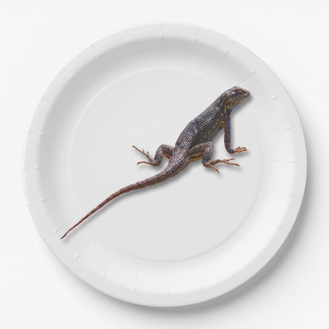 EIDECHSE PAPPTELLER (Vorderseite)