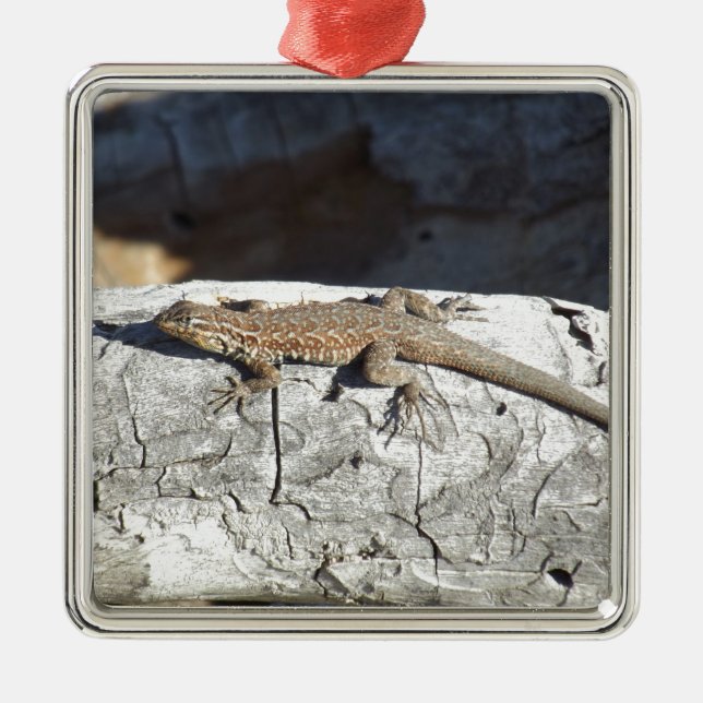 Eidechse Silbernes Ornament (Vorne)