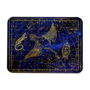 Eidechse und Schwan Sternbild Magnet