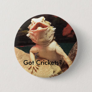 Eidechsen-/Kricket-Knopf Button