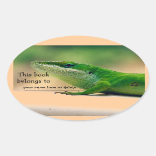 Eidechsen-Liebhaber Anole Buch-Aufkleber Ovaler Aufkleber