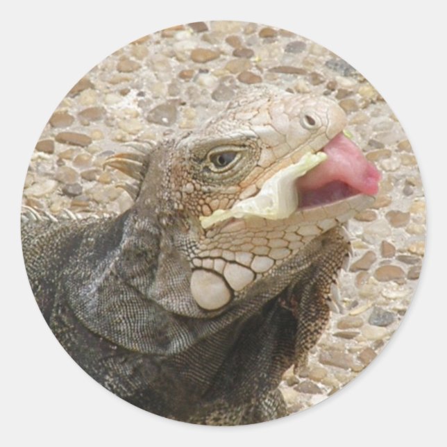 Eidechsen-Zunge-Aufkleber Runder Aufkleber (Vorderseite)