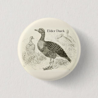 Eiderenten-Knopf Button