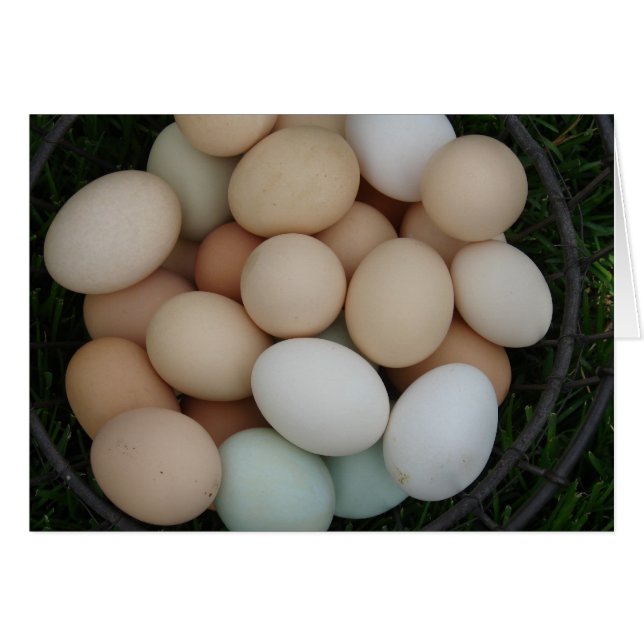 Eier (Vorderseite (Horizontal))