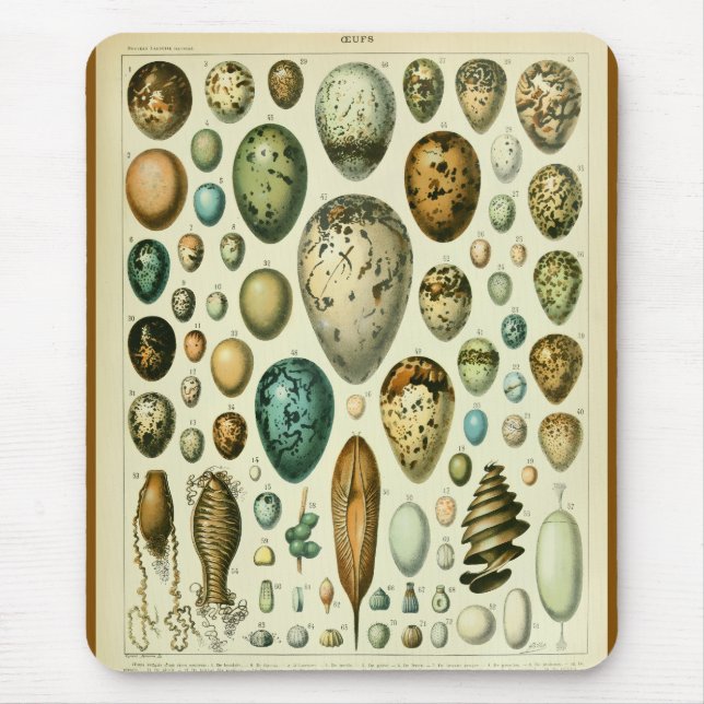 Eier antike naturgeschichtliche Illustration Millo Mousepad (Vorne)