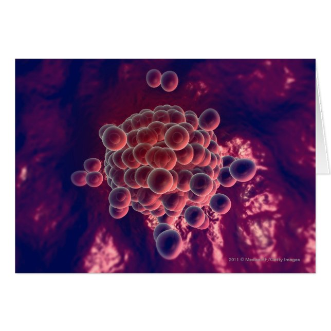 Eier in einem Ovum (Vorderseite (Horizontal))