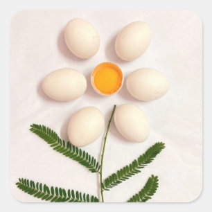 Eier-Jolk-Blume Quadratischer Aufkleber