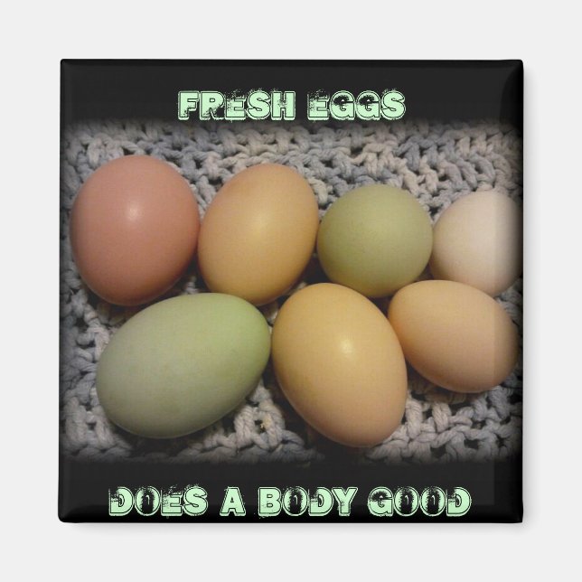 Eier machen einen Körper mit guten Magneten Magnet (Vorne)