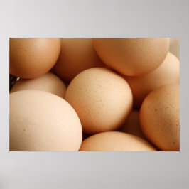Eier Poster