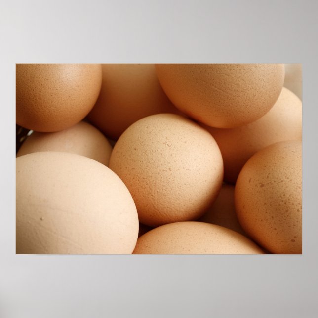 Eier Poster (Vorne)