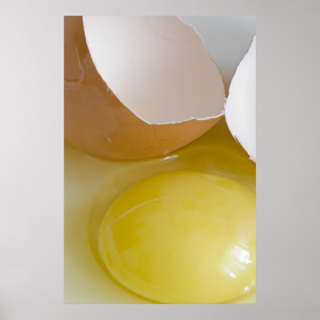 Eier Poster (Vorne)
