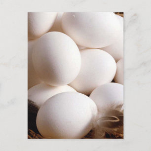 Eier Postkarte