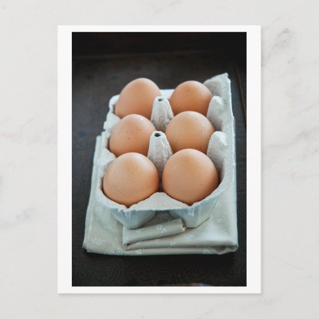 Eier Postkarte (Vorderseite)