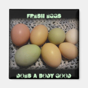 Eier tut ein Körper-gute Magneten Magnet