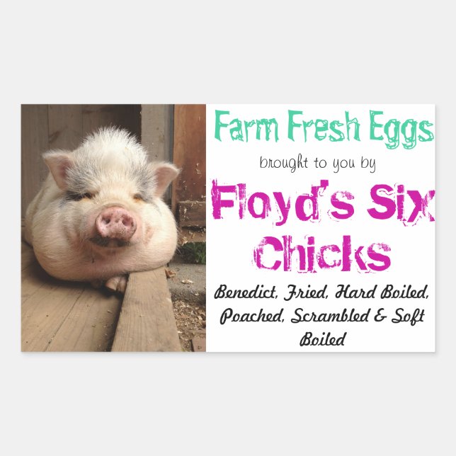 Eierkarton-Aufkleber Rechteckiger Aufkleber (Vorderseite)