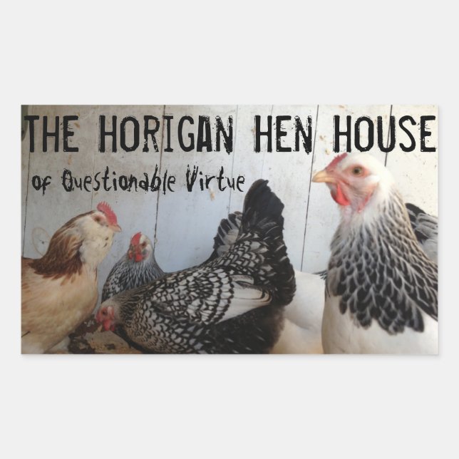 Eierkarton Rechteckiger Aufkleber (Vorderseite)