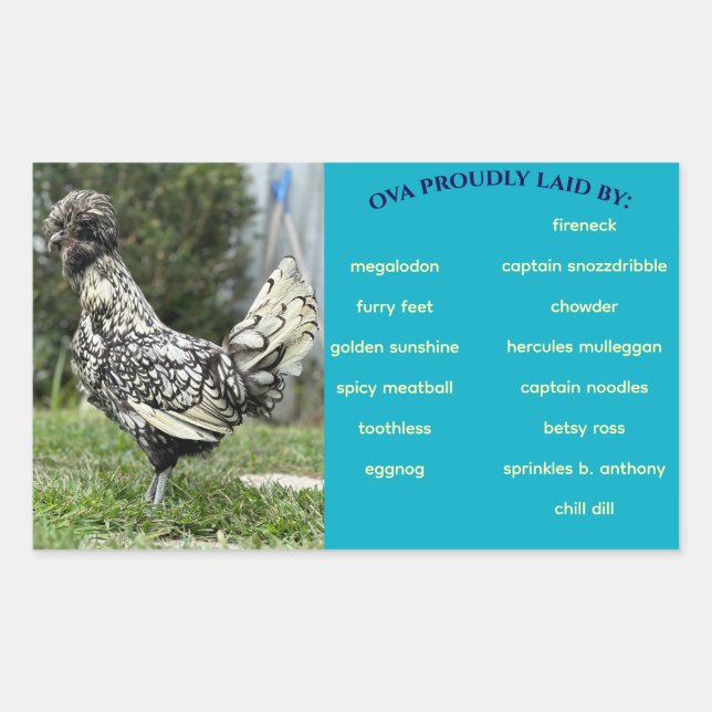 Eierkarton Rechteckiger Aufkleber (Vorderseite)