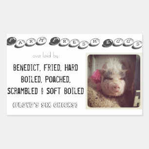 Eierkarton Rechteckiger Aufkleber