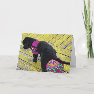 Eierlegen Osterkarte Feiertagskarte