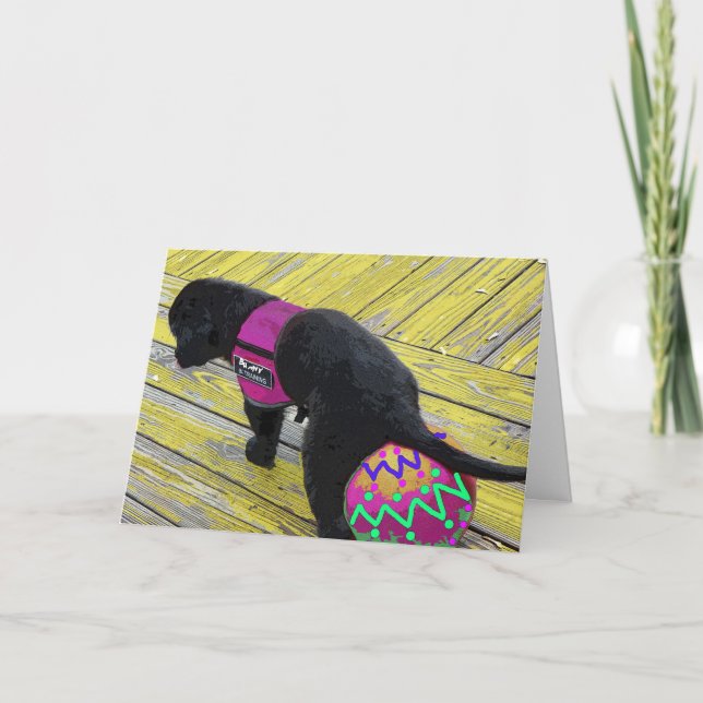 Eierlegen Osterkarte Feiertagskarte (Vorderseite)