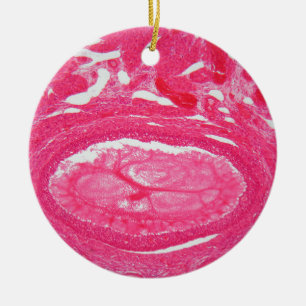 Eierstockzellen unter dem Mikroskop Keramikornament