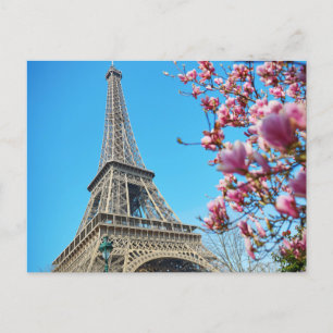 Eiffelturm, Paris Frankreich, Pink Blossom Postcar Postkarte