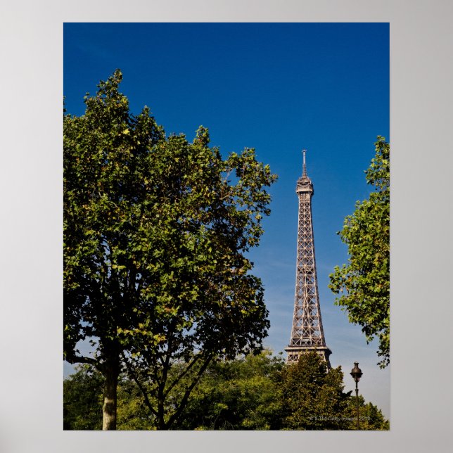 Eiffelturm und Bäume, Paris, franz. Poster (Vorne)