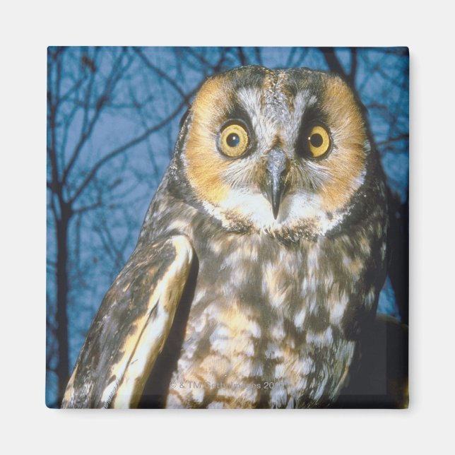 Eigenart Magnet (Vorne)