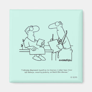 Eigendiagnose Magnet