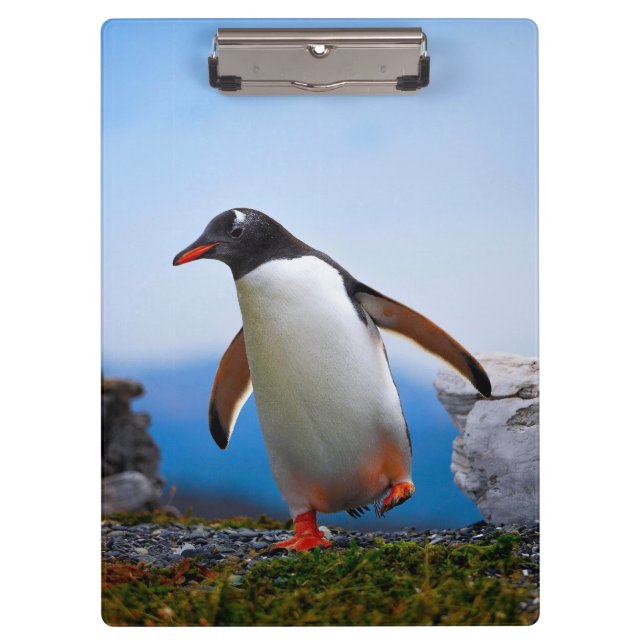 Eigene Bildvorlage hinzufügen Benutzerdefinierte G Klemmbrett (Vorderseite)