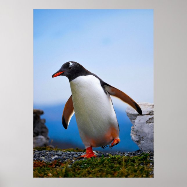 Eigene Bildvorlage hinzufügen Benutzerdefinierte G Poster (Vorne)