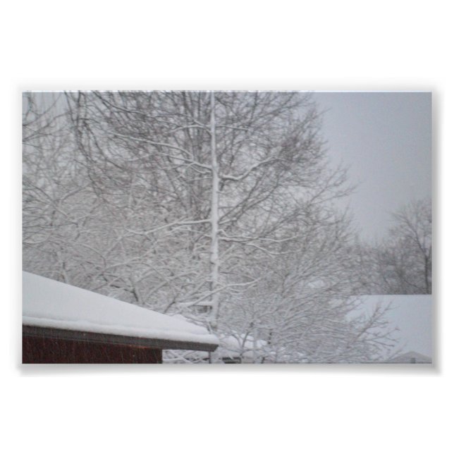 eigene Fotos drucken Fotodruck (Vorne)