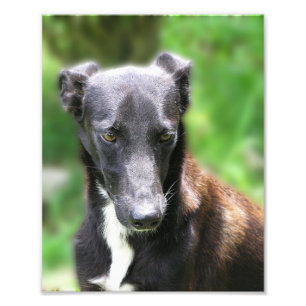 Eigene Größe 8 x 10 Foto Drucken