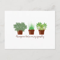 Eigene Kräuter sind meine Spezialität