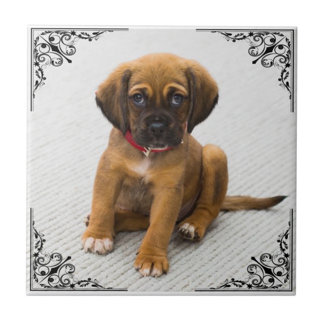 EIGENES FOTO HINZUFÜGEN FLIESE (Vorderseite)