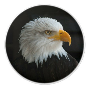 EIGENES FOTO ODER TEXT HINZUFÜGEN KERAMIKKNAUF