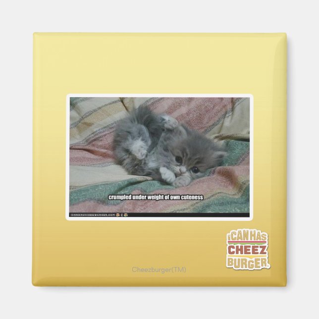 Eigengewicht Magnet (Vorne)