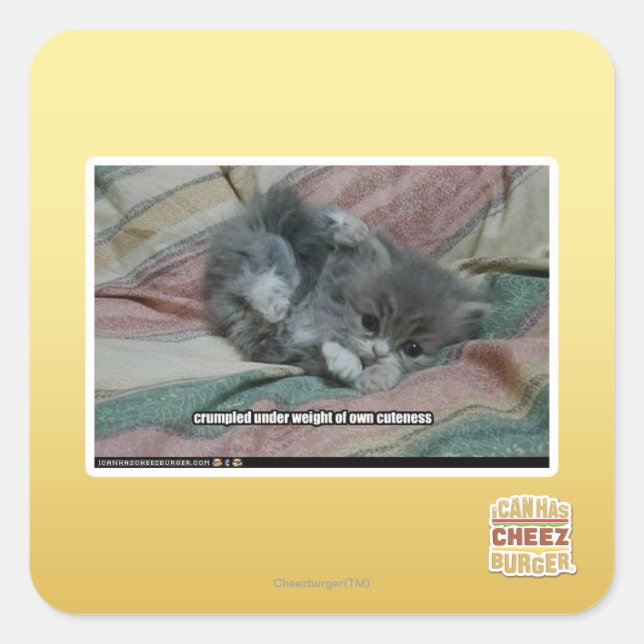 Eigengewicht Quadratischer Aufkleber (Vorderseite)