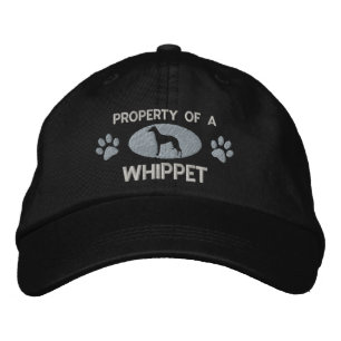 Eigenschaft eines bestickten Hippets Bestickte Baseballkappe