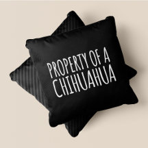 Eigenschaft eines Chihuahua Chic Chic, Niedlich &