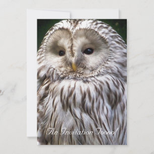 EIGENSCHAFT EINLADUNG