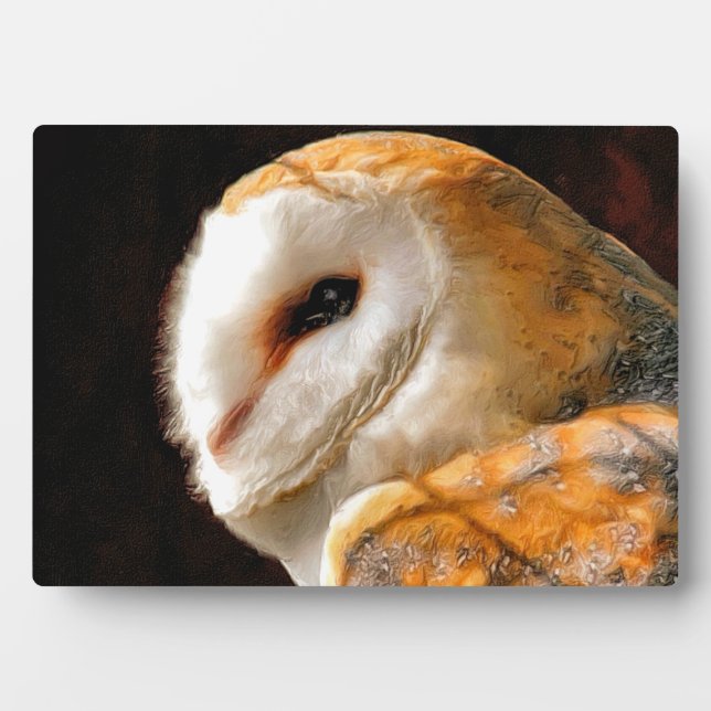 EIGENSCHAFT FOTOPLATTE (Vorderseite)