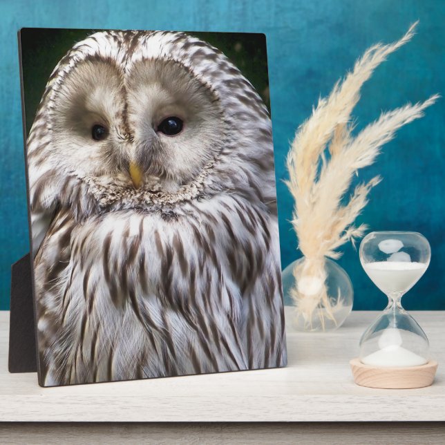 EIGENSCHAFT FOTOPLATTE (Seite)