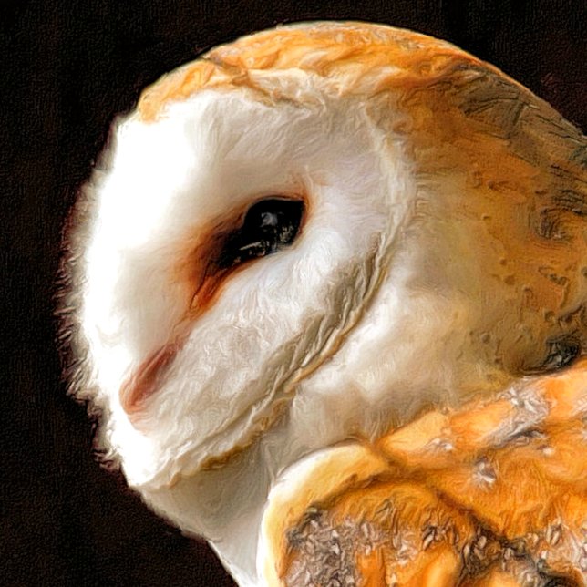 EIGENSCHAFT GESCHIRRTUCH (A beautiful soft artistic watercolor of a Barn Owl.)
