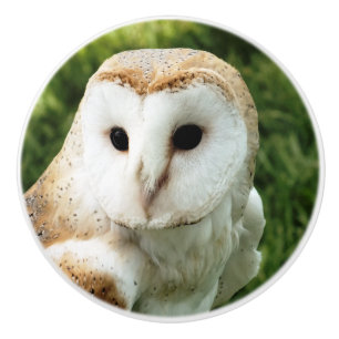 EIGENSCHAFT KERAMIKKNAUF