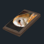 EIGENSCHAFT TRI-FOLD GELDBEUTEL<br><div class="desc">Eine schöne, weiche künstlerische Aquarell einer Barnschale.</div>